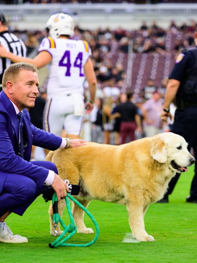 Fans Loved Kirk Herbstreit’s Dog Peter’s NFL Debut Thursday Night