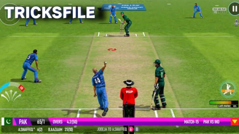 Best Cricket Game with High Graphics 2024